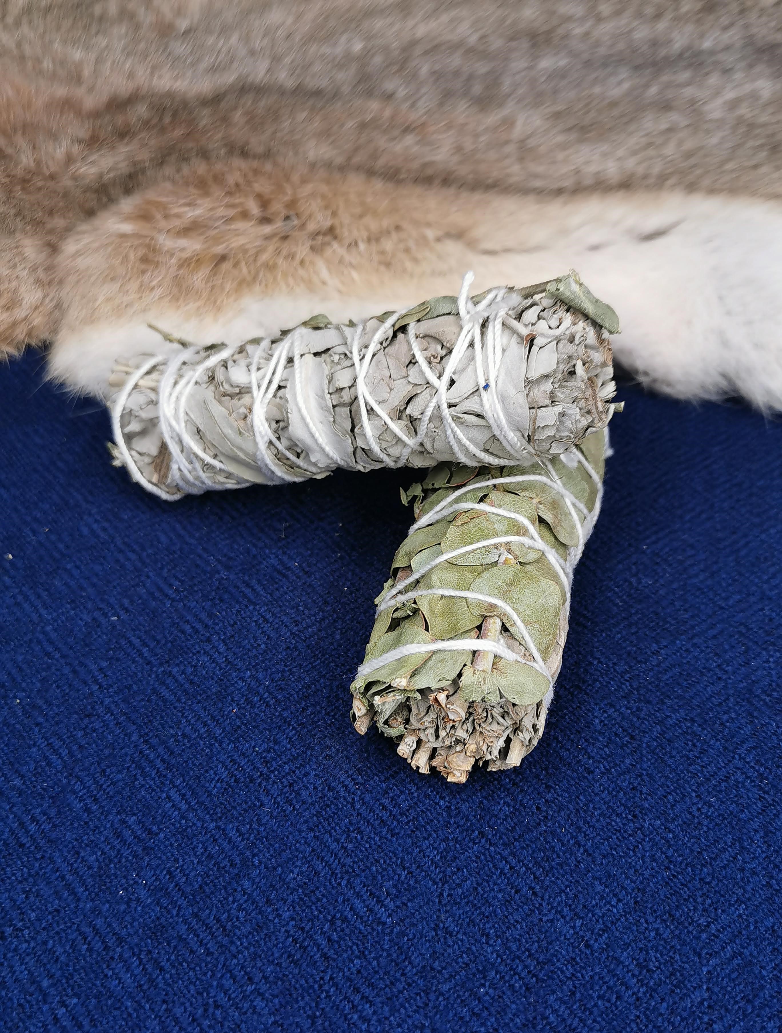Weißer Salbei / Eukalyptus mini Smudge
