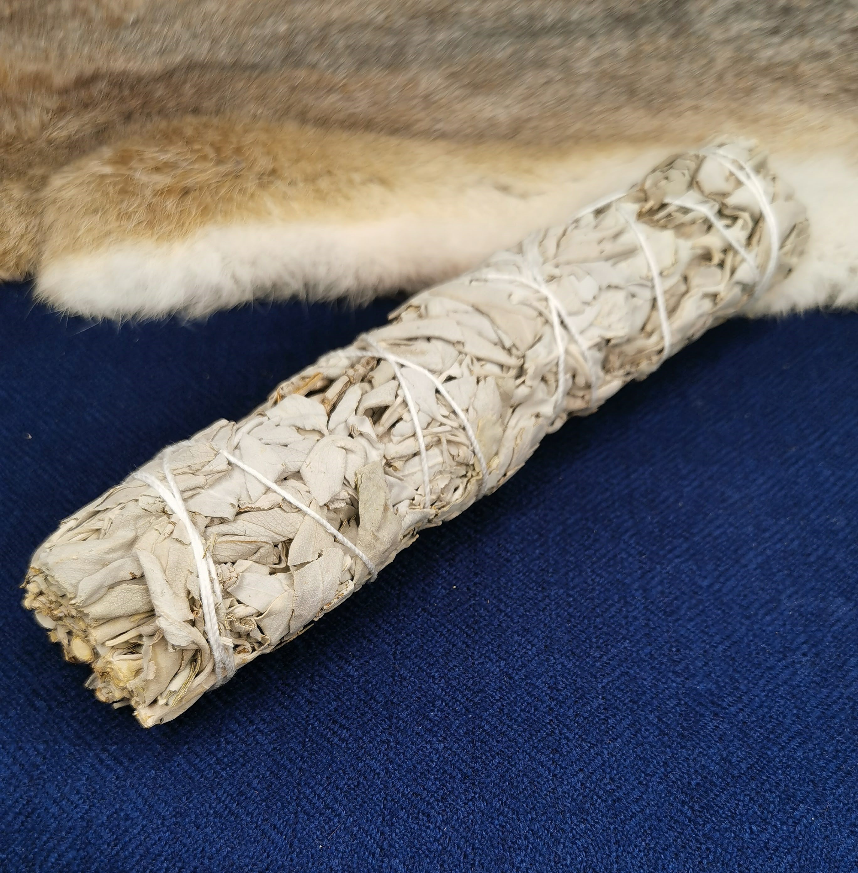 Weißer Salbei / großer Smudge